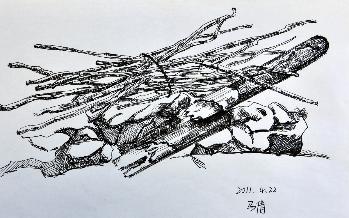 10动画一 马倩