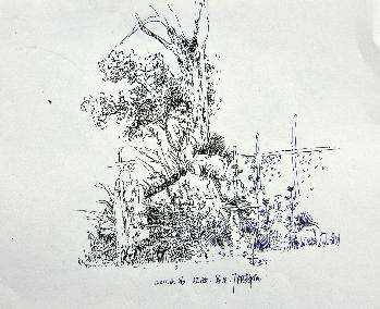顾静娅-10动画一