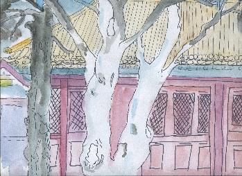 三等奖  李鑫