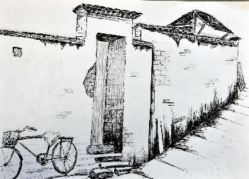 10公设Y  林霞宝