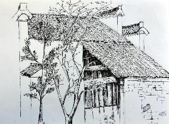 10动画一 施小路
